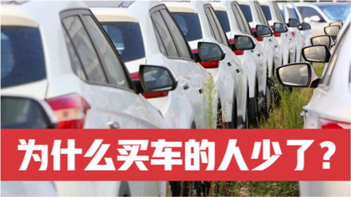 老司機(jī)深度剖析 為何如今買(mǎi)車(chē)的人少了？汽車(chē)銷(xiāo)量下降背后的理性思考